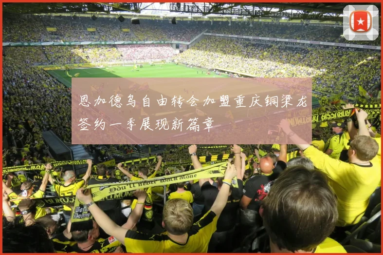 恩加德乌自由转会加盟重庆铜梁龙签约一季展现新篇章